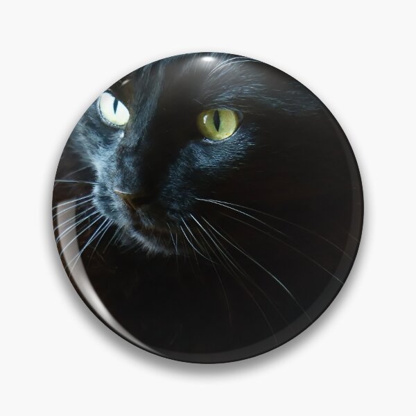 Item preview, Black Cat Against a Yellow Background designed and sold by Vivar Photo.