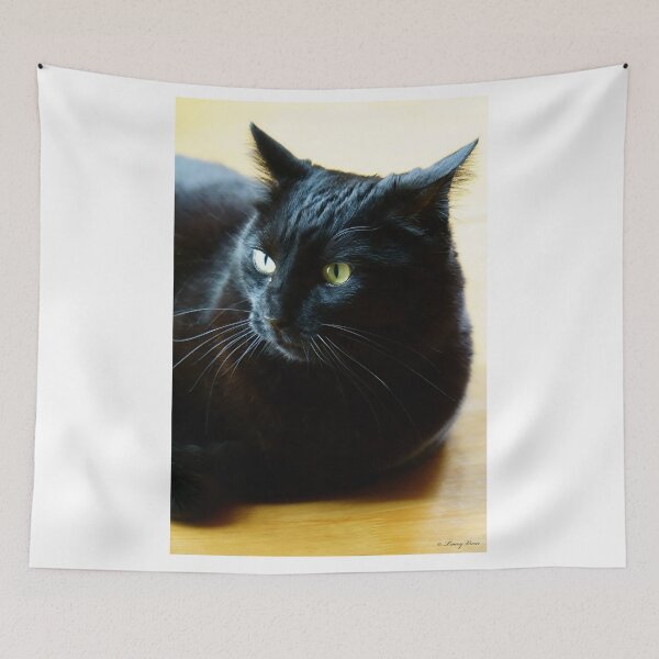 Item preview, Black Cat Against a Yellow Background designed and sold by Vivar Photo.