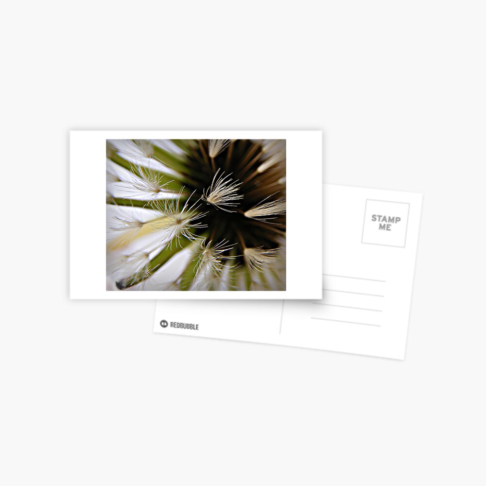 Item preview, Postcard designed and sold by believer9.