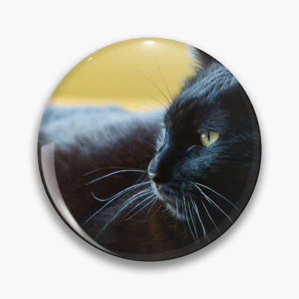 Item preview, Black Cat Lunging Against a Yellow Background 2 designed and sold by Vivar Photo.