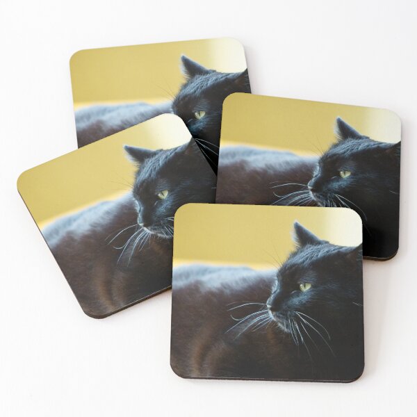 Item preview, Black Cat Lunging Against a Yellow Background 2 designed and sold by Vivar Photo.