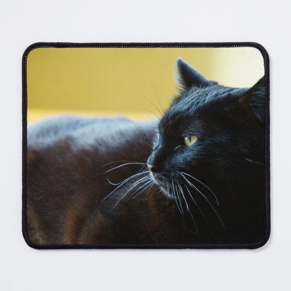 Item preview, Black Cat Lunging Against a Yellow Background 2 designed and sold by Vivar Photo.
