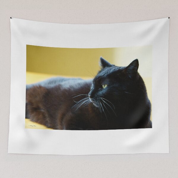 Item preview, Black Cat Lunging Against a Yellow Background 2 designed and sold by Vivar Photo.