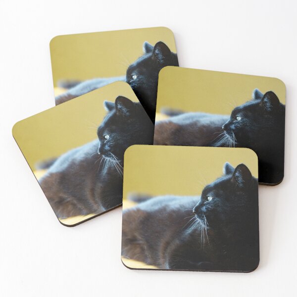 Item preview, Black Cat Lunging Against a Yellow Background designed and sold by Vivar Photo.