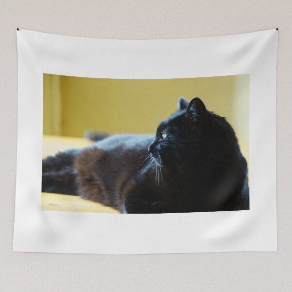 Item preview, Black Cat Lunging Against a Yellow Background designed and sold by Vivar Photo.