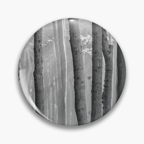 Item preview, white birch trees designed and sold by coolshop123.
