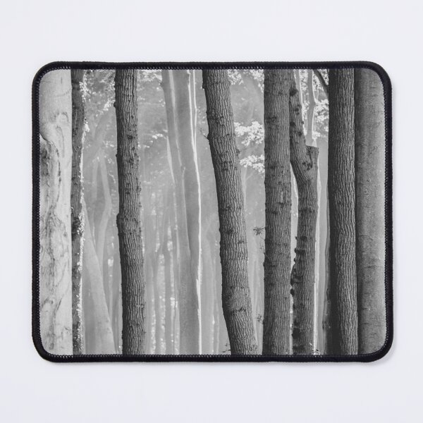Item preview, white birch trees designed and sold by coolshop123.