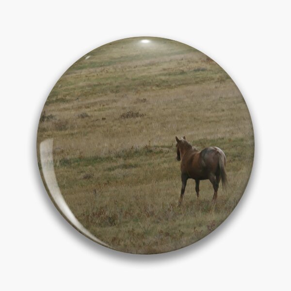 Item preview, Chocolate Palomino on a Slope designed and sold by Vivar Photo.