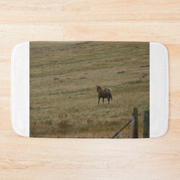 Item preview, Chocolate Palomino on a Slope designed and sold by Vivar Photo.