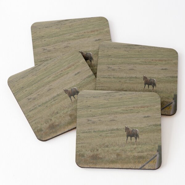 Item preview, Chocolate Palomino on a Slope designed and sold by Vivar Photo.