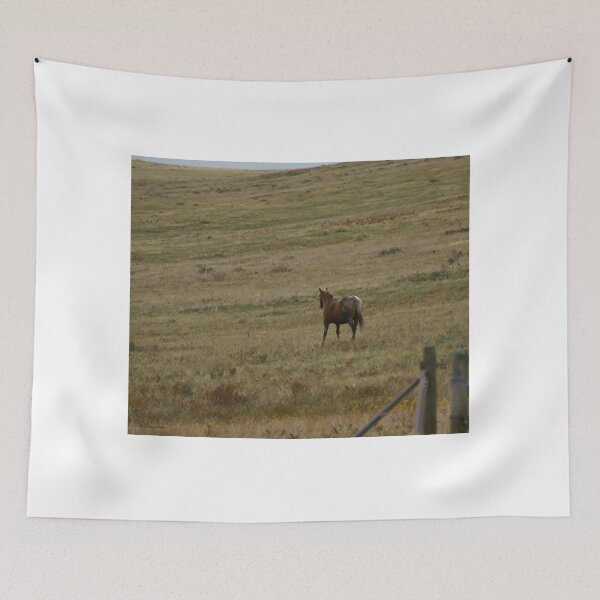 Item preview, Chocolate Palomino on a Slope designed and sold by Vivar Photo.