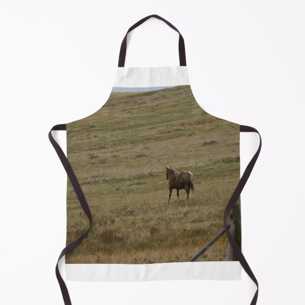 Item preview, Chocolate Palomino on a Slope designed and sold by Vivar Photo.