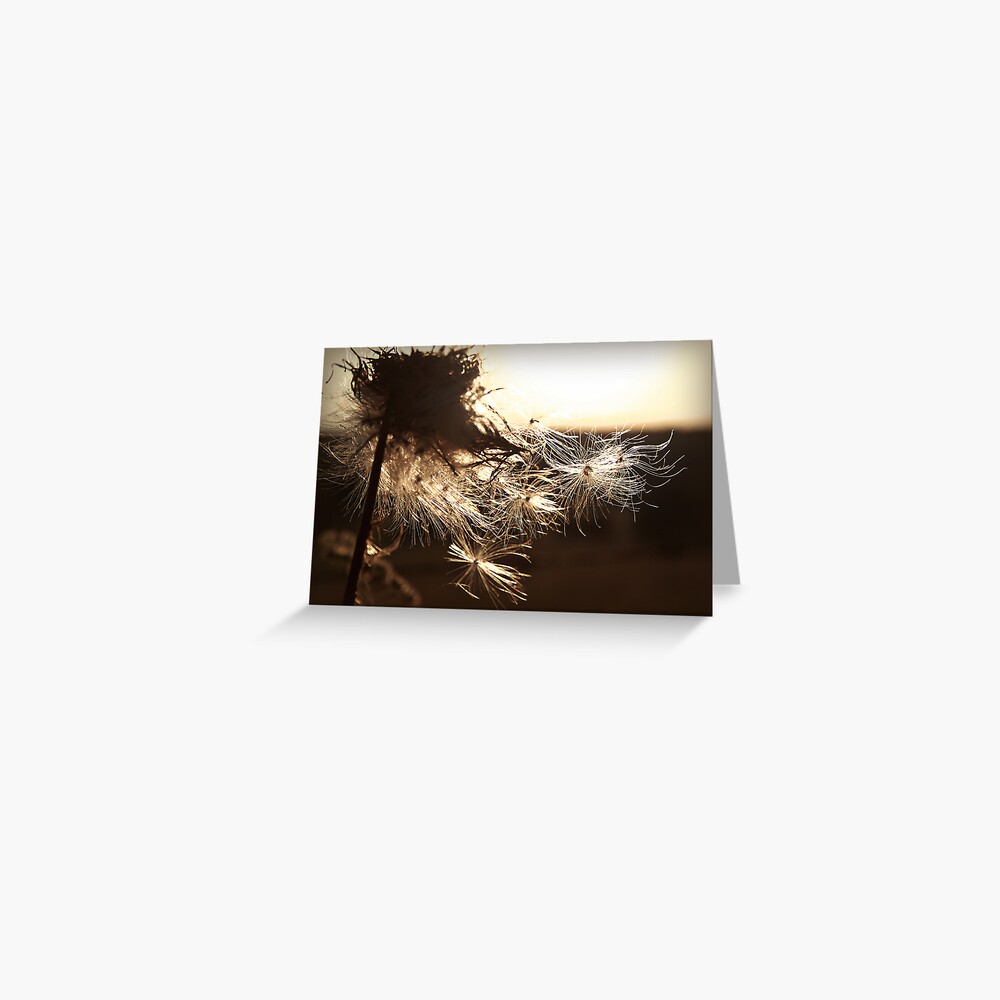 Item preview, Greeting Card designed and sold by believer9.