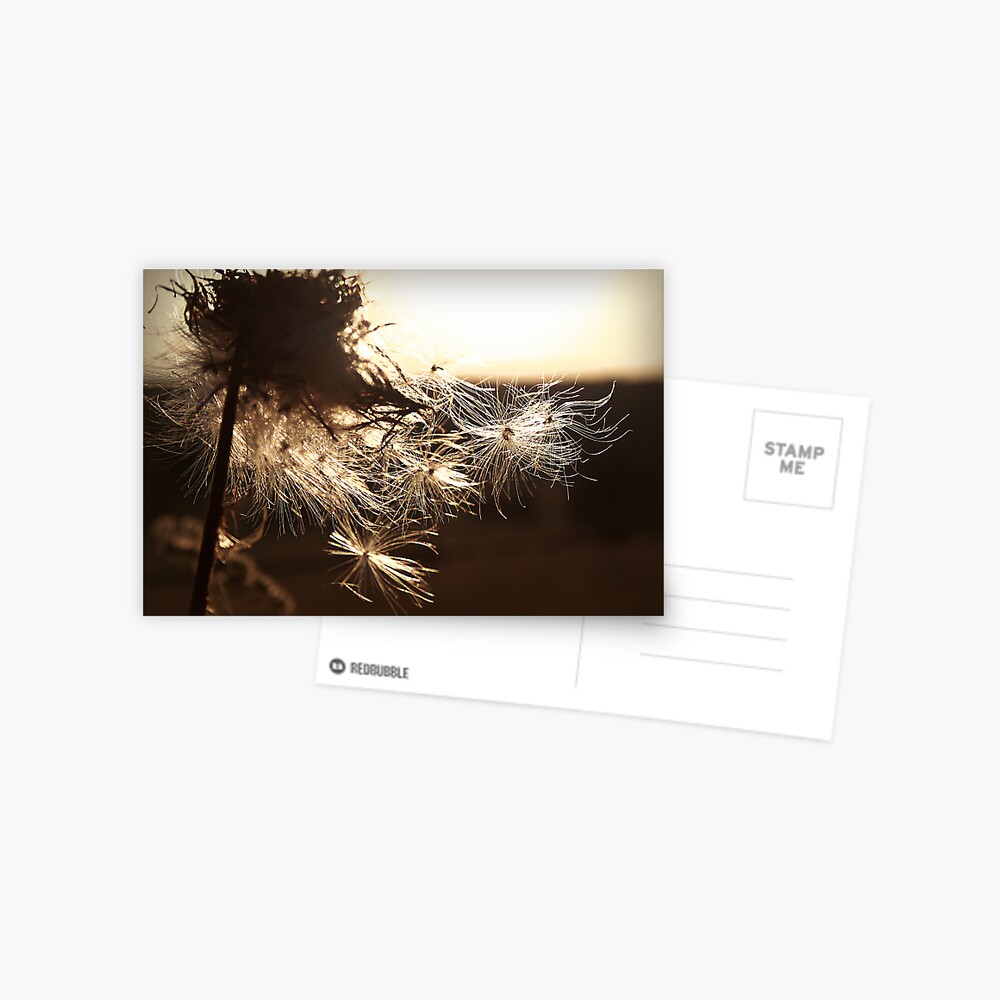 Item preview, Postcard designed and sold by believer9.