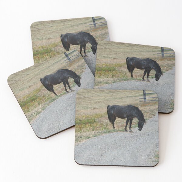Item preview, Black Horse by a Gravel Road designed and sold by Vivar Photo.
