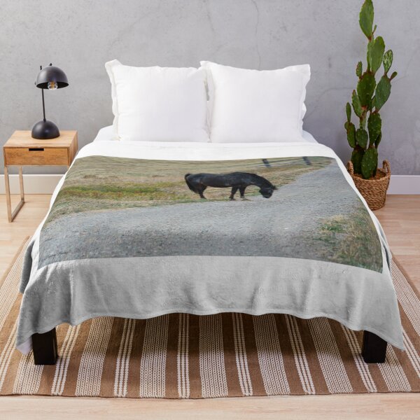 Item preview, Black Horse by a Gravel Road designed and sold by Vivar Photo.