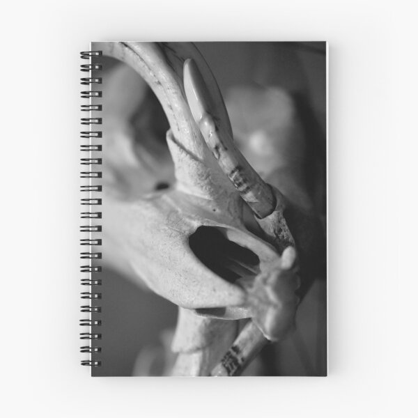 Artikelvorschau, SKULL 007 - Abstrakte Gothic-Fotografie - Warzenschwein entworfen und verkauft von SageFolio.
