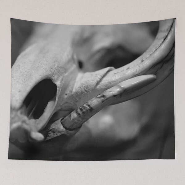Item preview, SKULL 007 - Abstract Gothic Photography - Warthog designed and sold by SageFolio.