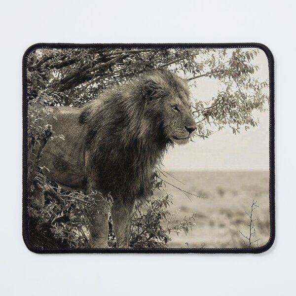 Item preview, KING AND KINGDOM designed and sold by THE AMERICAN TEEVANGELIST.