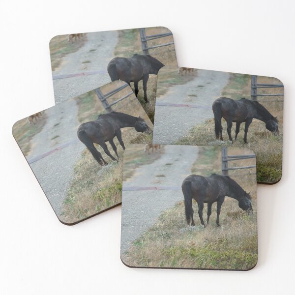 Item preview,  Black Horse Grazing Along a Gravel Path designed and sold by Vivar Photo.