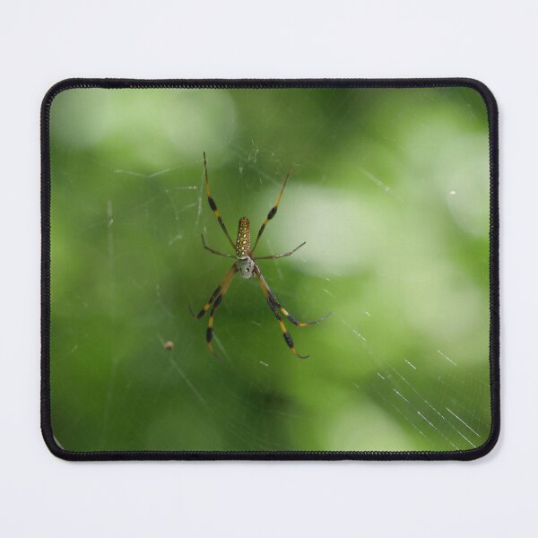 Item preview, Golden Silk Orb Weaver designed and sold by Faith-B-Photos.
