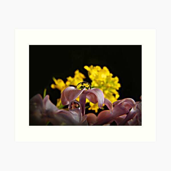 Bouquet in a Bubble Art Print