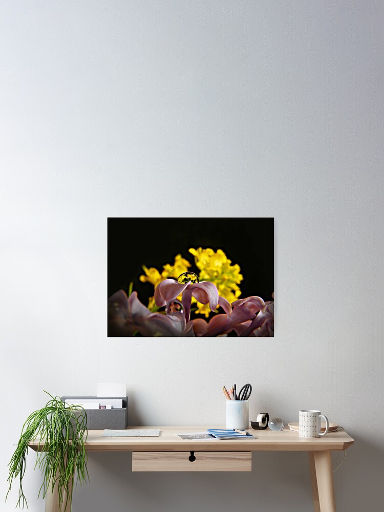 Thumbnail 2 of 3, Poster, Bouquet in a Bubble designed and sold by believer9.