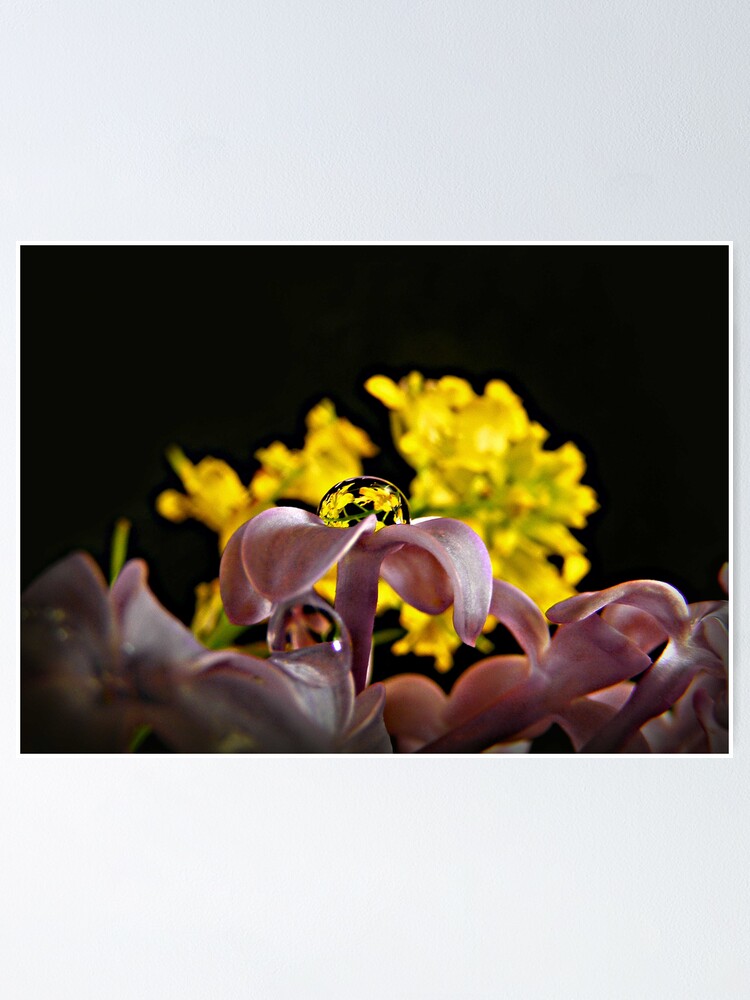 Thumbnail 1 of 3, Poster, Bouquet in a Bubble designed and sold by believer9.