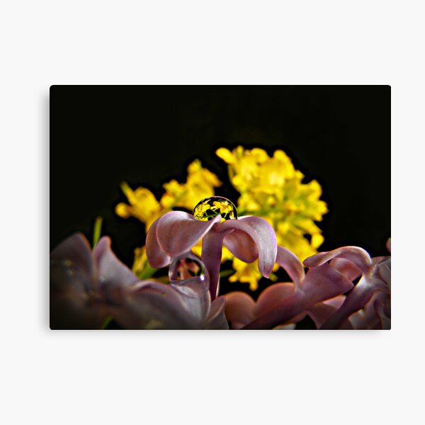Bouquet in a Bubble Canvas Print