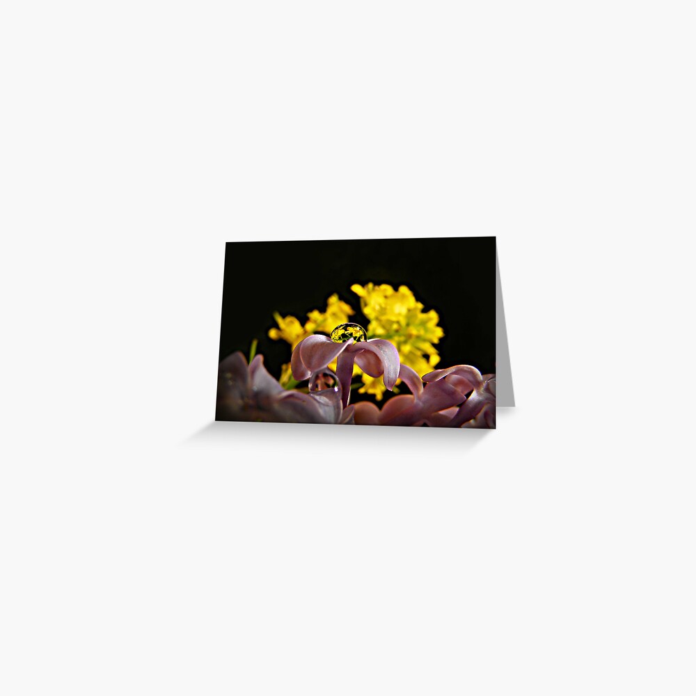 Item preview, Greeting Card designed and sold by believer9.