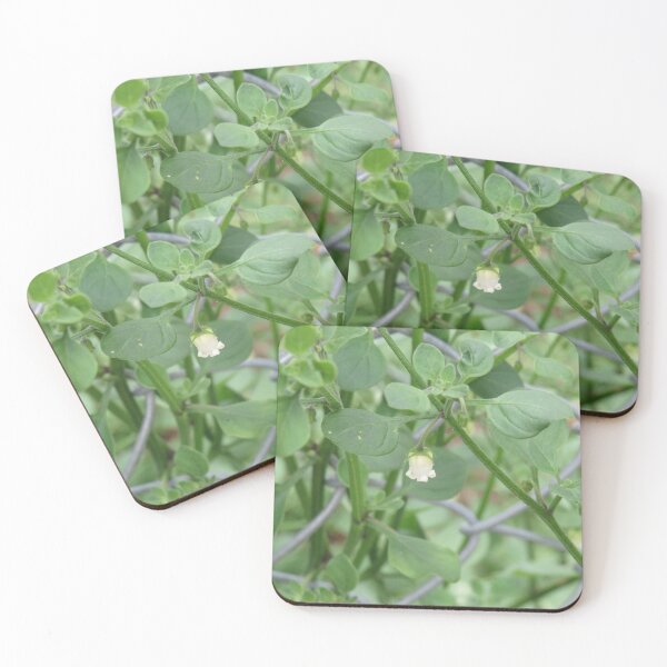 Item preview, Pampas lily of the valley flower designed and sold by greentiger1.