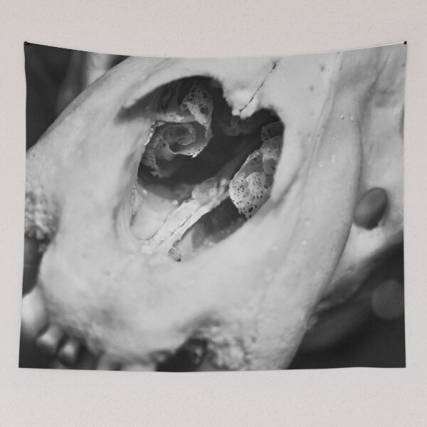 Item preview, SKULL 006 - Abstract Gothic Photo - Big Cat designed and sold by SageFolio.
