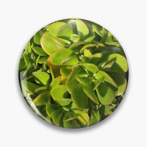 Item preview, Succulent Greenery designed and sold by SucculentLovers.
