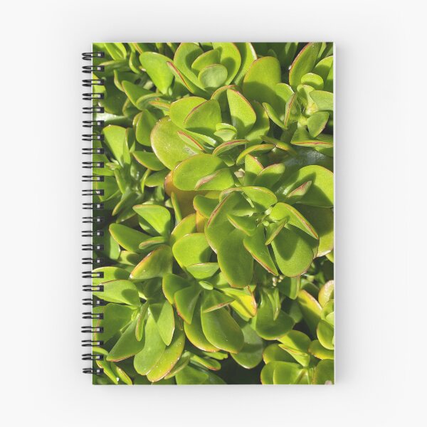 Item preview, Succulent Greenery designed and sold by SucculentLovers.