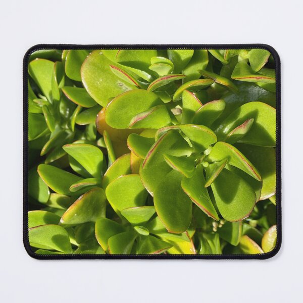Item preview, Succulent Greenery designed and sold by SucculentLovers.