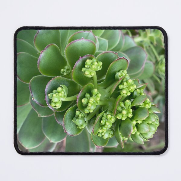 Item preview, Succulent Death Bloom Repeat designed and sold by SucculentLovers.