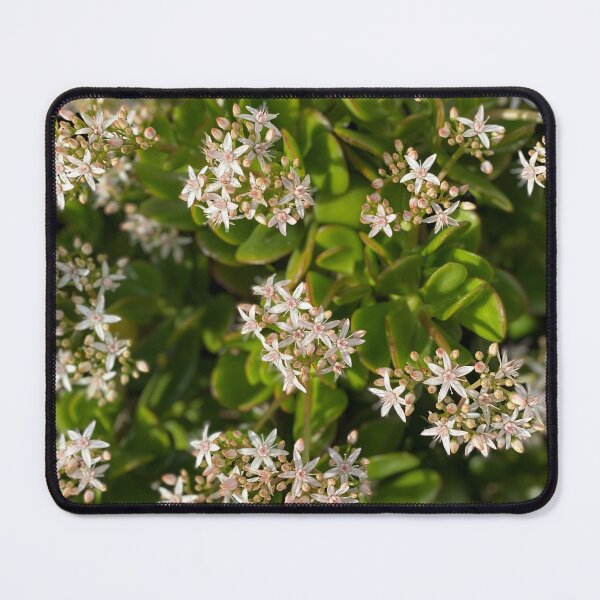 Item preview, Blooming Succulent Satisfaction designed and sold by SucculentLovers.