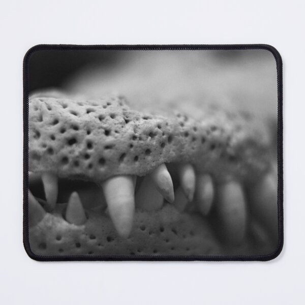 Item preview, SKULL 008 - Abstract Gothic Photography - Crocodile designed and sold by SageFolio.