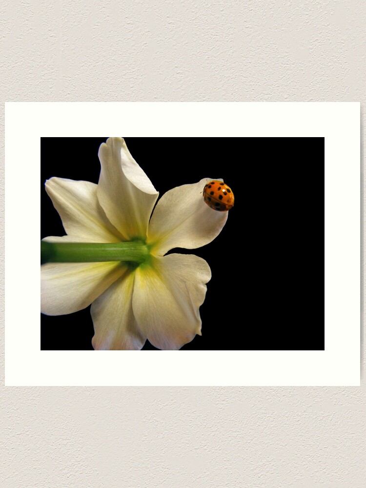Thumbnail 1 of 3, Art Print, Hidden designed and sold by believer9.