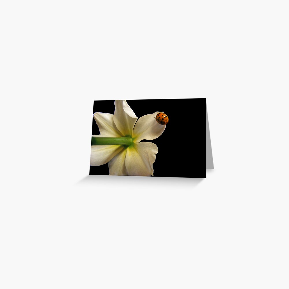 Item preview, Greeting Card designed and sold by believer9.