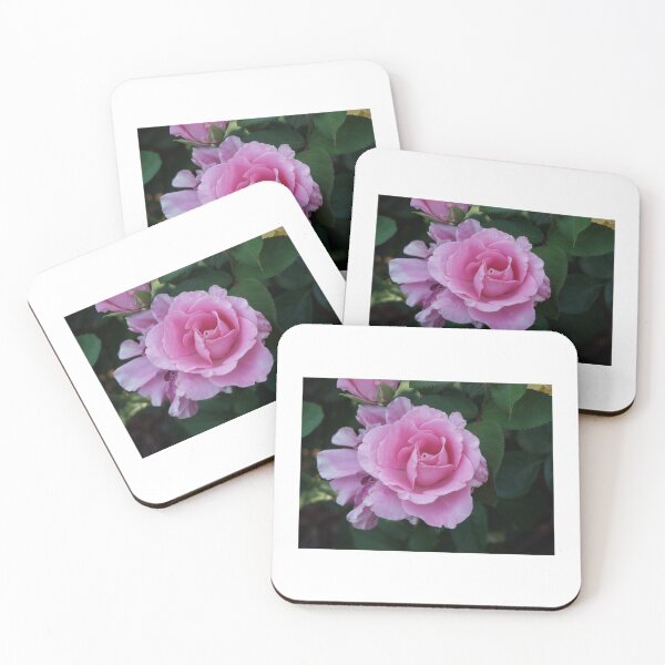 Item preview, Perfect Pink Rose designed and sold by SucculentLovers.