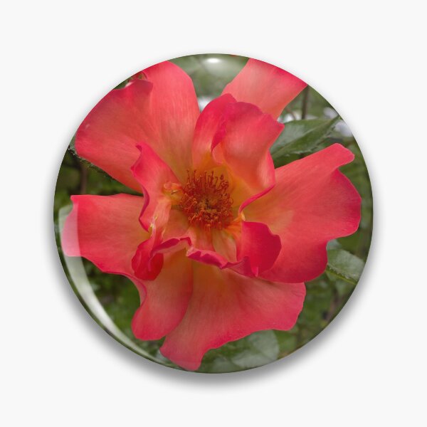Item preview, Flower Red Love Inside designed and sold by SucculentLovers.