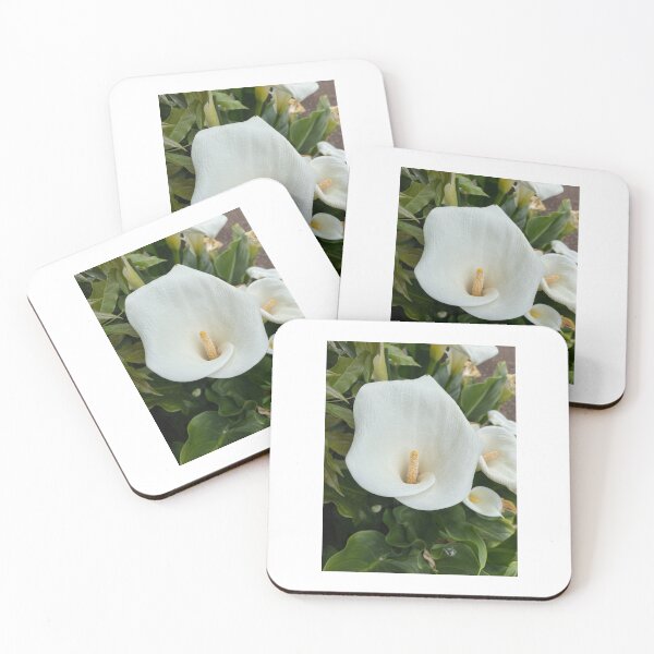 Item preview, Calla Lily Love designed and sold by SucculentLovers.