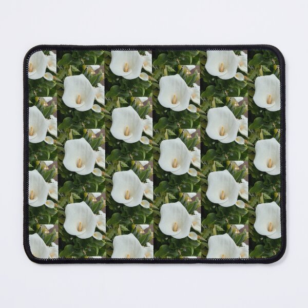 Item preview, Calla Lily Love designed and sold by SucculentLovers.