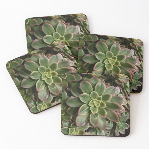 Item preview, Unique Succulent Beauty designed and sold by SucculentLovers.