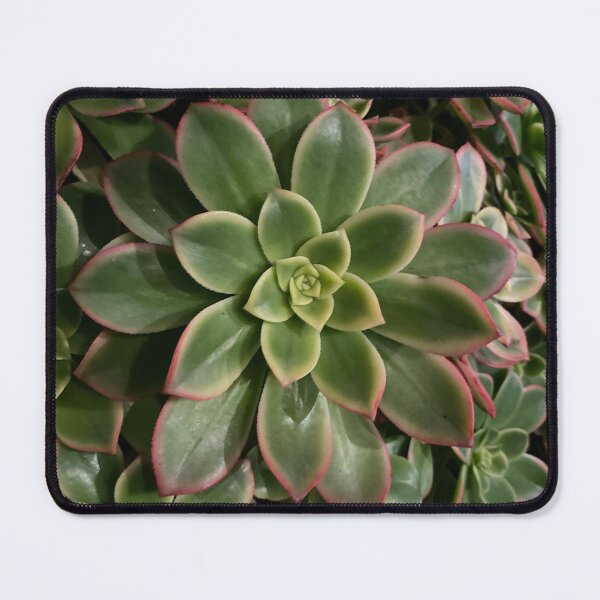 Item preview, Unique Succulent Beauty designed and sold by SucculentLovers.