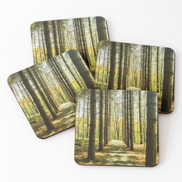 Item preview, Trail of trees in the forest  designed and sold by gbargenio.