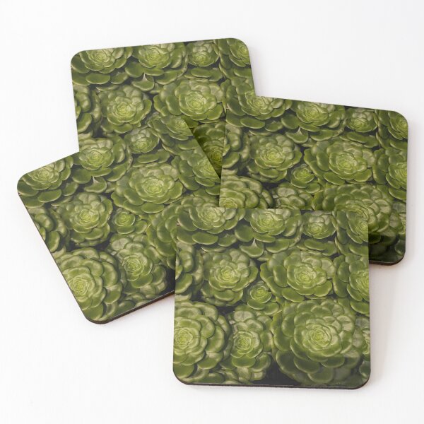 Item preview, California Succulent Family designed and sold by SucculentLovers.