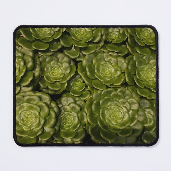 Item preview, California Succulent Family designed and sold by SucculentLovers.