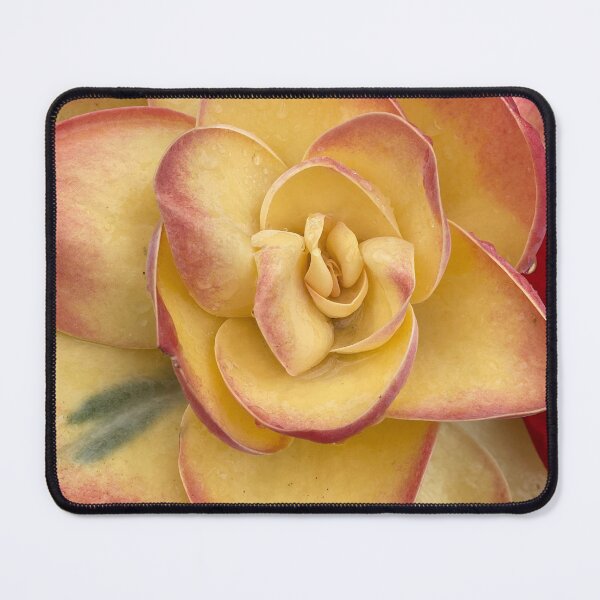 Item preview, Yellow Sunny Succulent designed and sold by SucculentLovers.